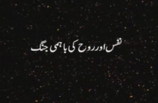 Nafs aur Rooh ki bahmi Jang  (Episode 8)-by-Shaykh-ul-Islam Dr Muhammad Tahir-ul-Qadri