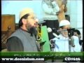Haqiqat-o-Hussan Risalat -by-Shaykh-ul-Islam Dr Muhammad Tahir-ul-Qadri